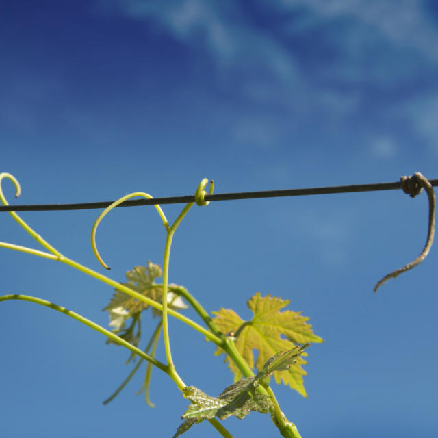 Les producteurs du Périgord