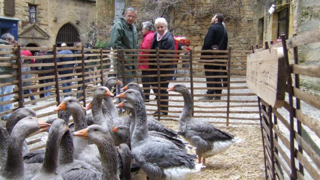 Fest'oie à Sarlat