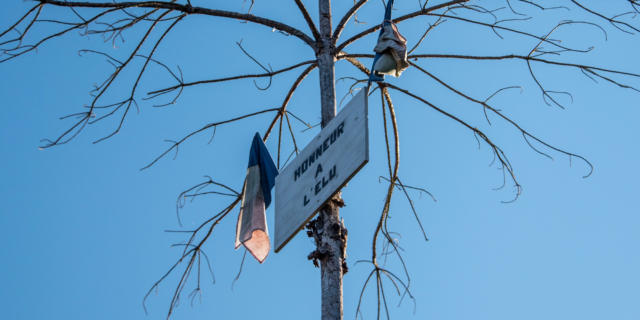 l'arbre de mai - coutume et traditions Sarlat Périgord