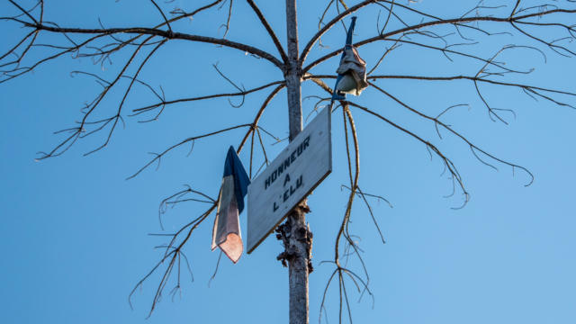 l'arbre de mai - coutume et traditions Sarlat Périgord