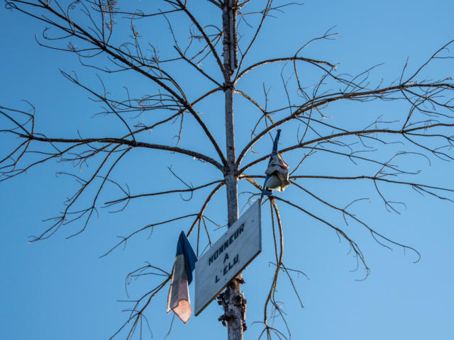 l'arbre de mai - coutume et traditions Sarlat Périgord