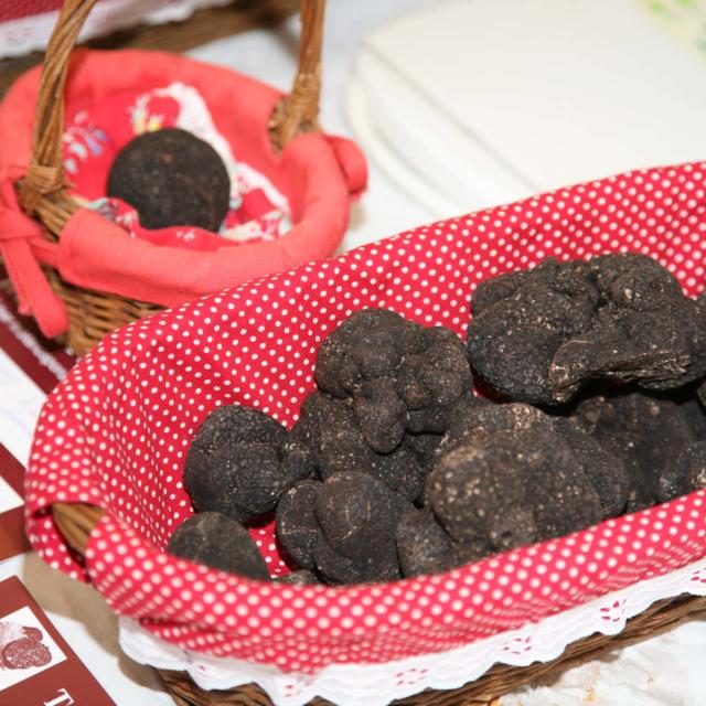 La truffe du périgord