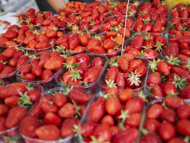 La fraise du périgord