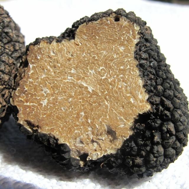 Truffe d'été