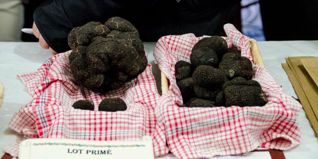 Marchés primés - Fête de la truffe à Sarlat