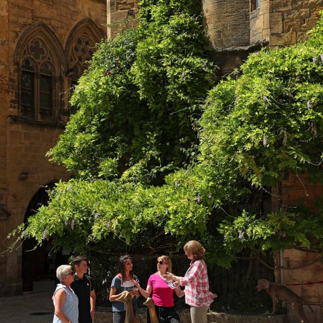 Personalised guided excursion in Sarlat