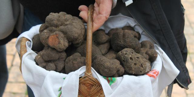 Truffes