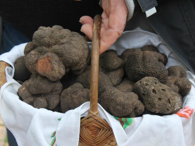 Truffes