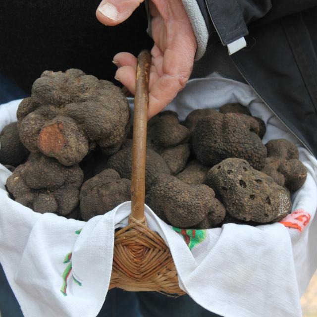 Truffes