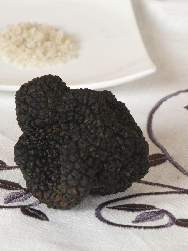 Truffes