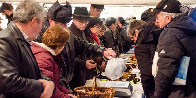 Marché aux truffes