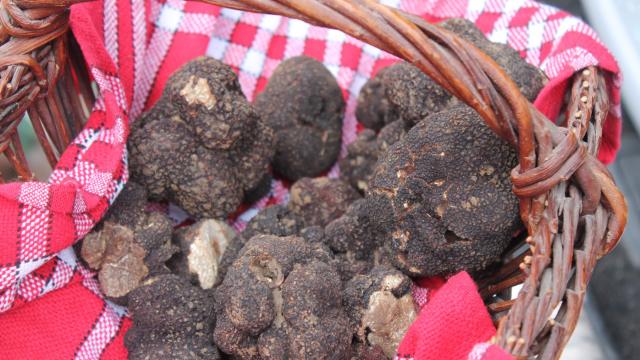 Truffes