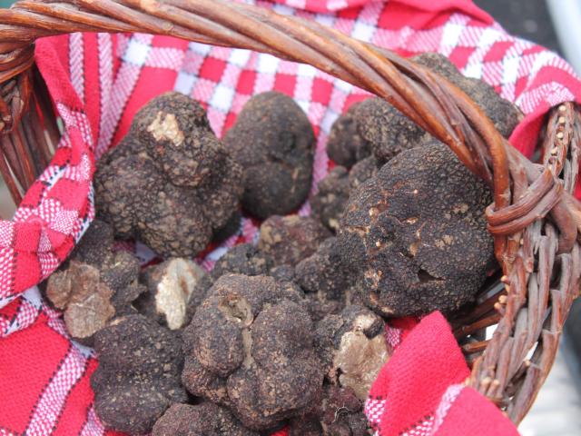 Truffes