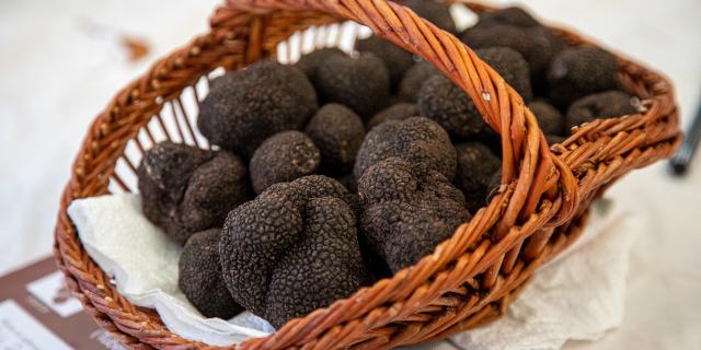 Truffes @Comimages