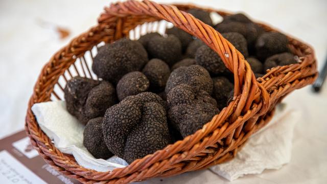 Truffes @Comimages