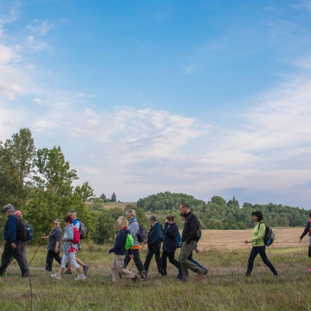 Transhumance Dan Courtice 20