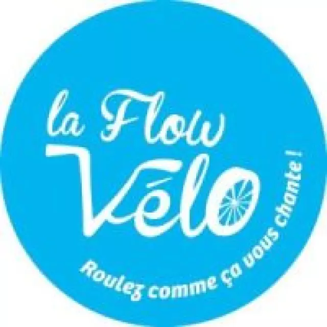 Bloc Logo Flow Velo Rond Bleu2