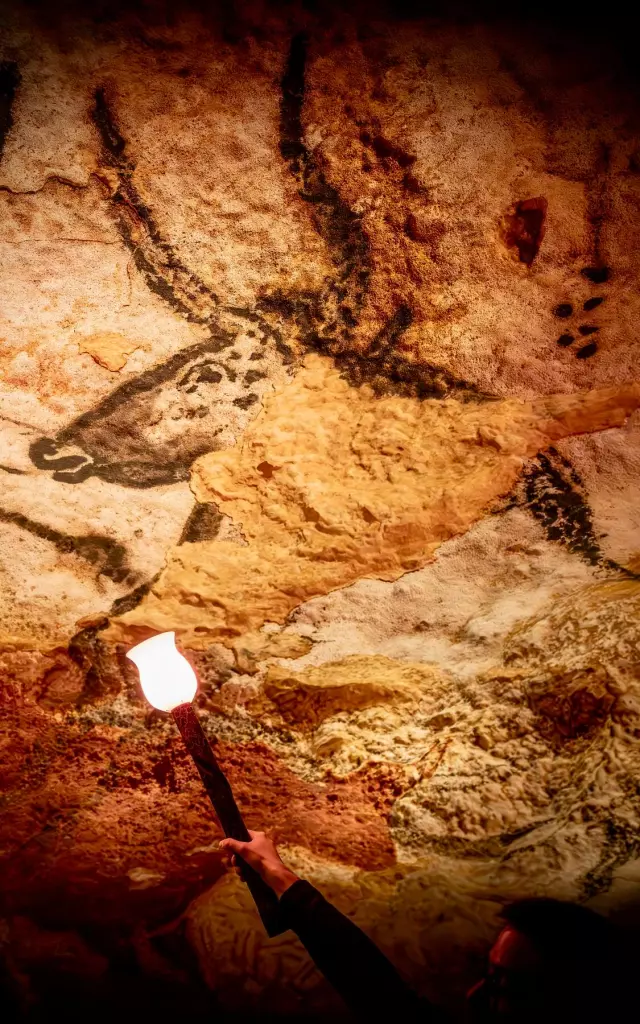 Lascaux-@declicetdecolle.jpg