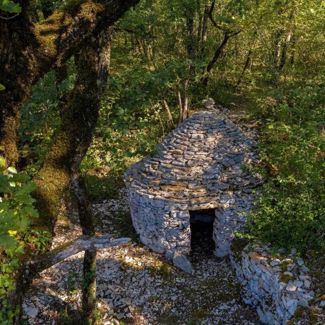 cabane-@declicetdecolle.jpg