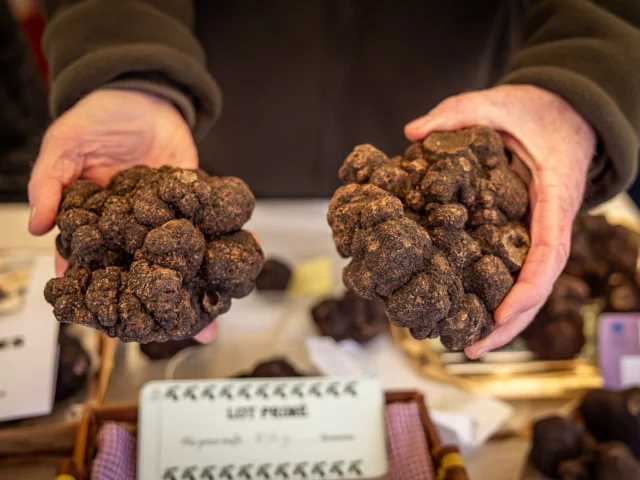 Fete-de-la-Truffe-Sarlat-2024@DeclicDecolle-39.jpg