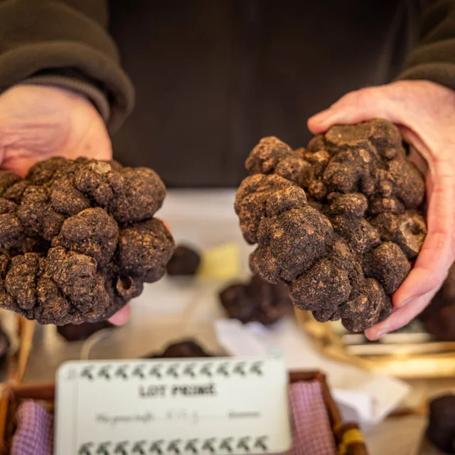 Fete-de-la-Truffe-Sarlat-2024@DeclicDecolle-39.jpg