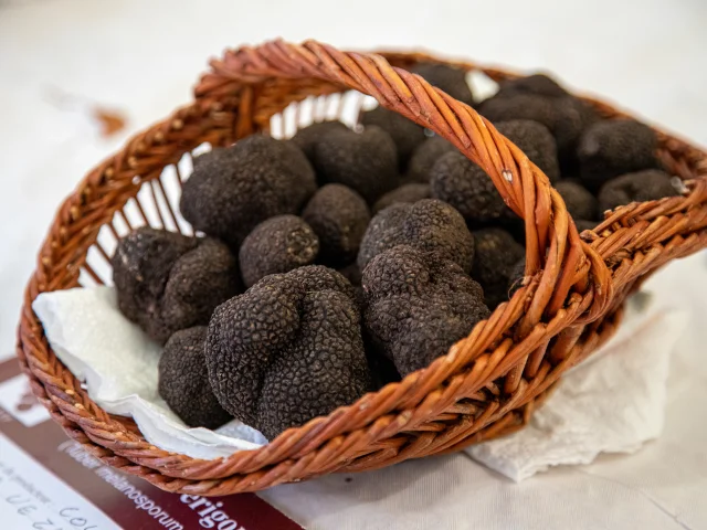 Truffes @Comimages