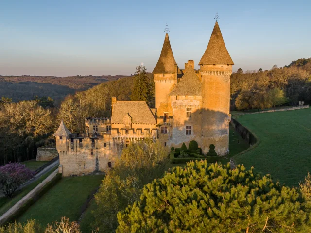 Château de Puymartin